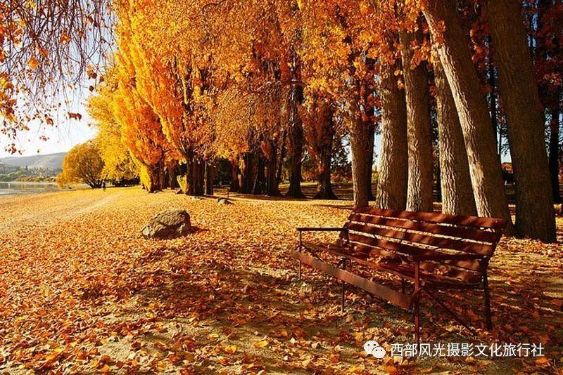 骑士的侍从